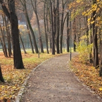 Stadtpark am Dittersdorfer Weg - Bildautor: Matthias Pihan, 20.11.2020