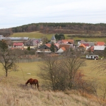 Bilder des Jahres 2020