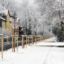 Park an der Schwarzburger Strae - Bildautor: Matthias Pihan, 04.01.2021