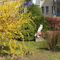 Im Wohngebiet Siedlung - Bildautor: Matthias Pihan, 31.03.2021