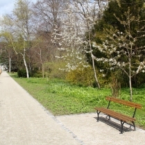 Im Kurpark - Bildautor: Matthias Pihan, 03.05.2021