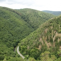 Blick vom Elisabethfelsen ins Schwarzatal - Bildautor: Matthias Pihan, 01.07.2021