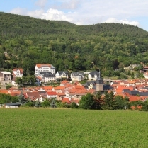 Blick von der Gemeinde - Bildautor: Matthias Pihan, 07.07.2021