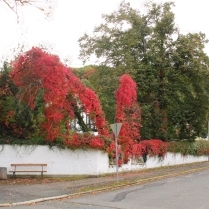 Bildersammlung