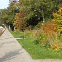 Kurpark an der Schwarzburger Strae - Bildautor: Matthias Pihan, 18.10.2021