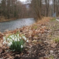 Im Stadtpark an der Schwarza - Bildautor: Matthias Pihan, 15.02.2022