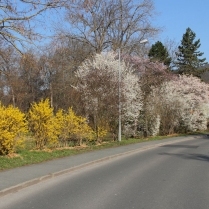 Bildersammlung