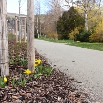 Im Kurpark an der Schwarzburger Strae - Bildautor: Matthias Pihan, 10.04.2022