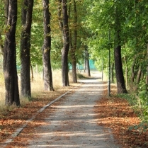 Stadtpark am Dittersdorfer Weg - Bildautor: Matthias Pihan, 16.08.2022