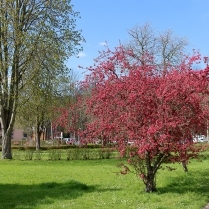 Hinter dem Bahnhof - Bildautor: Matthias Pihan, 19.04.2023