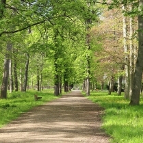 Im Stadtpark - Bildautor: Matthias Pihan, 06.05.2023