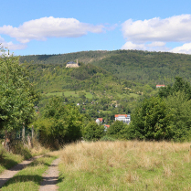 Bildersammlung