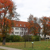 Im Wohngebiet Siedlung - Bildautor: Matthias Pihan, 01.11.2023