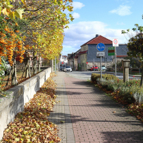 Bildersammlung