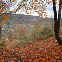 An der Klinge - Bildautor: Matthias Pihan, 12.11.2023