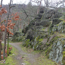 Bildersammlung