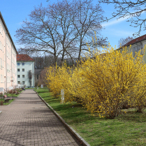 Strae der Deutschen Einheit - Bildautor: Matthias Pihan, 17.03.2024