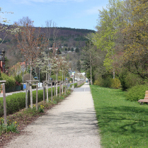 Im Kurpark an der Schwarzburger Strae - Bildautor: Matthias Pihan, 06.04.2024