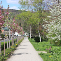 Im Kurpark an der Schwarzburger Strae - Bildautor: Matthias Pihan, 10.04.2024