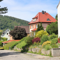 Zeigerheimer Weg - Bildautor: Matthias Pihan, 18.06.2024