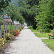 Im Kurpark an der Schwarzburger Strae - Bildautor: Matthias Pihan, 21.06.2024