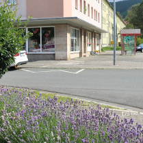Im Wohngebiet Siedlung - Bildautor: Matthias Pihan, 26.06.2024