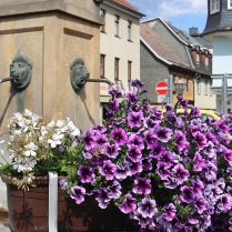 Am Marktbrunnen - Bildautor: Matthias Pihan, 23.07.2024