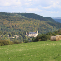 Blick zur Burg Greifenstein aus der Bhlscheibener Flur - Bildautor: Matthias Pihan, 29.09.2024