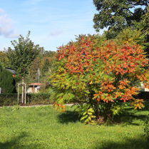 Im Kurpark - Bildautor: Matthias Pihan, 08.10.2024