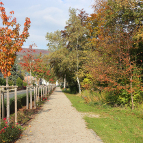 Im Kurpark an der Schwarzburger Strae - Bildautor: Matthias Pihan, 24.10.2024