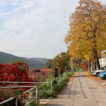 Esplanade - Bildautor: Matthias Pihan, 24.10.2024