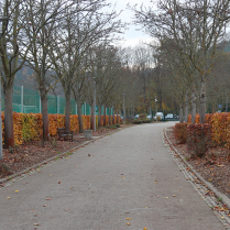 Landessportschule - Bildautor: Matthias Pihan, 16.11.2024