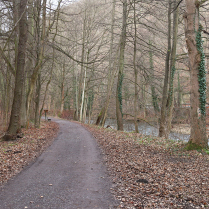 Im Schwarzatal - Bildautor: Matthias Pihan, 16.12.2024