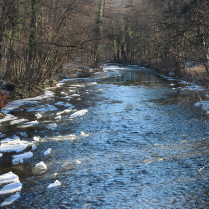 Die Schwarza - Blick von der Badewldchenbrcke - Bildautor: Matthias Pihan, 19.02.2025