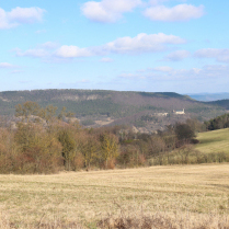 Blick auf die Kesselwnde aus der Bhlscheibener Flur - Bildautor: Matthias Pihan, 02.03.2025