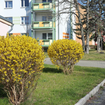 Hofgeismarer Strae - Bildautor: Matthias Pihan, 27.03.2025