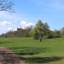 Blick vom Hffel zur Burg Greifenstein - Bildautor: Matthias Pihan, 20.04.2025