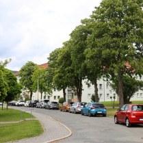In der Warfe - Bildautor: Matthias Pihan, 20.05.2025