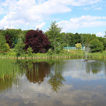 Am Teich der Landessportschule - Bildautor: Matthias Pihan, 26.05.2025