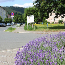 Im Wohngebiet Siedlung - Bildautor: Matthias Pihan, 16.06.2025