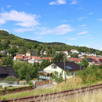 Blick vom Bhlscheibener Weg - Bildautor: Matthias Pihan, 10.07.2025