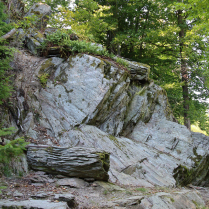 Bilder des Jahres 2025