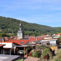 Bilder des Jahres 2025