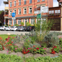 Bilder des Jahres 2025