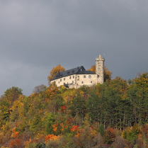 Bilder des Jahres 2025