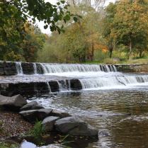 Bilder des Jahres 2025