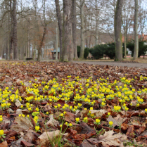 Bilder des Jahres 2026