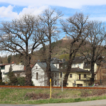 Blick von der Schwarzburger Stra�e zum Hausberg - Bildautor: Matthias Pihan, 05.04.2026
