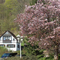 Georgstra�e - Bildautor: Matthias Pihan, 16.04.2026