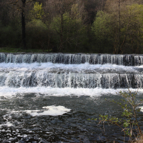 Chrysopraswehr - Bildautor: Matthias Pihan, 16.04.2026